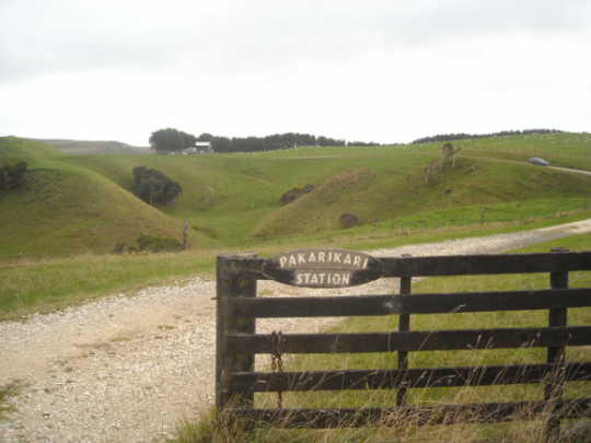 Whakaotirangi’s garden site between Kawhia & Aotea